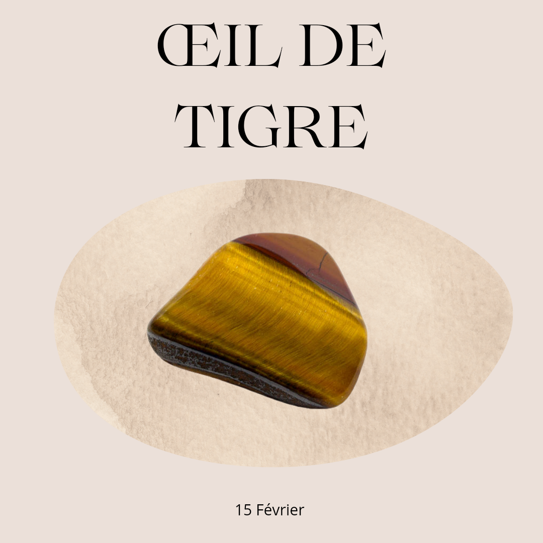 L'oeil de tigre en lithothérapie. Voici ses propriétés pour vous aider à choisir vos bijoux. Pierre naturelle - gemme